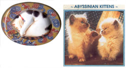 Tin Pot Puzzles - Feline Friends - Abyssinian Kittens