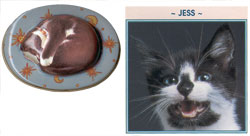 Tin Pot Puzzles - Feline Friends - Jess