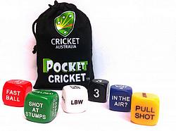 Pocket Cricket dice game