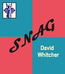 Snag party game